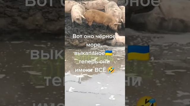 Море они выкопали...