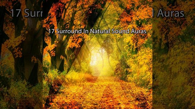Woodland Focus