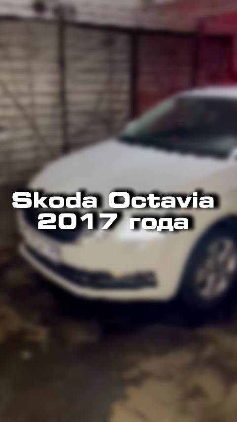 как вы относитесь к марке Skoda?