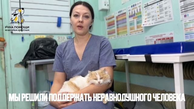Мы решили подарить шанс Ренесми на лучшую жизнь. Поддержать ⬇️