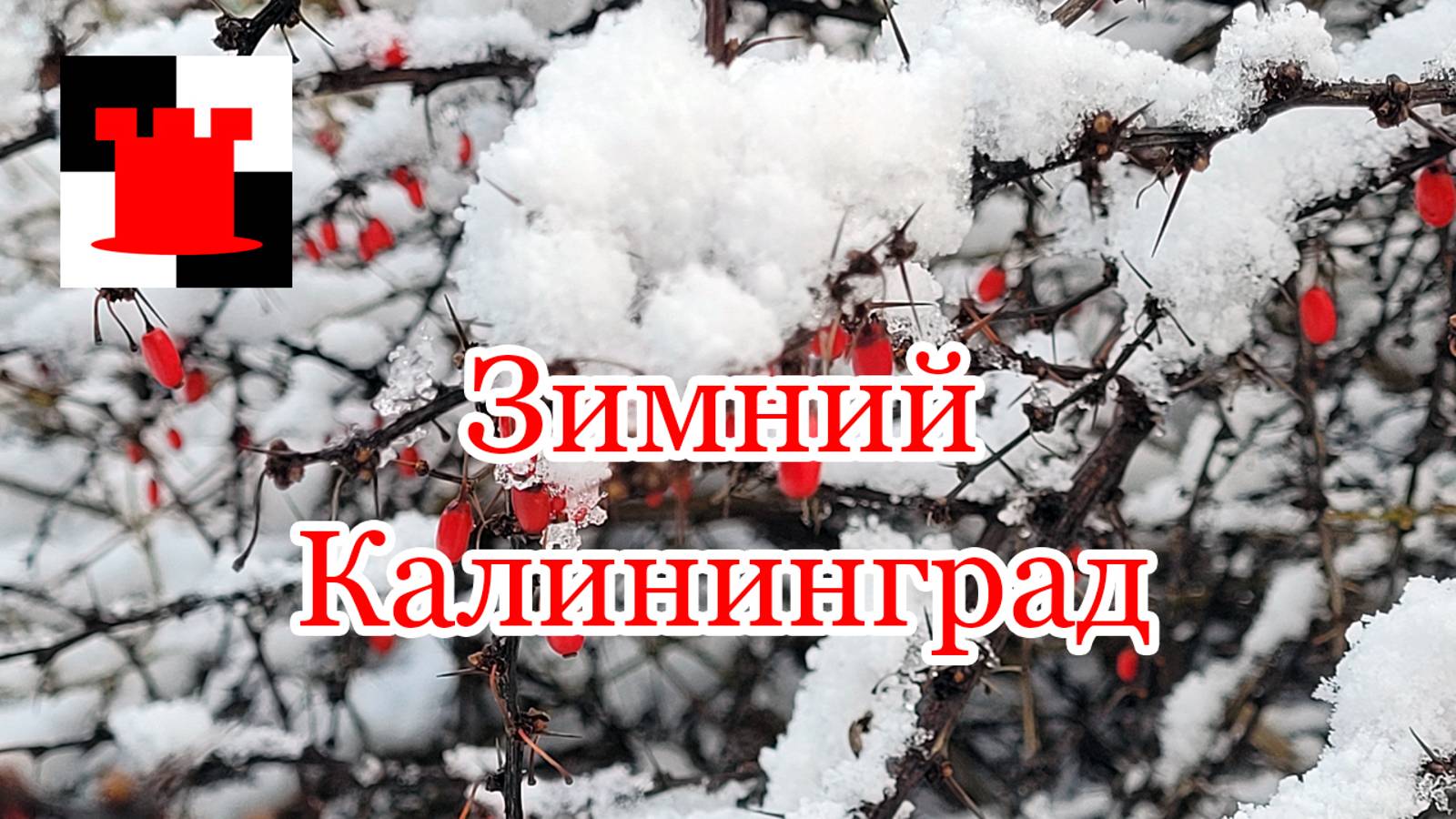 Прогулка по заснеженному Калининграду. 2025 год наступил