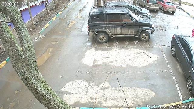 Падение ветки на автомобиль. Результат "работы" коммунальных служб 02.03.2020