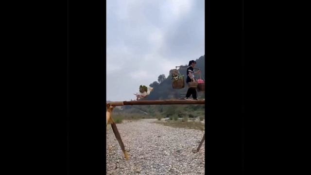 Гусь помощник