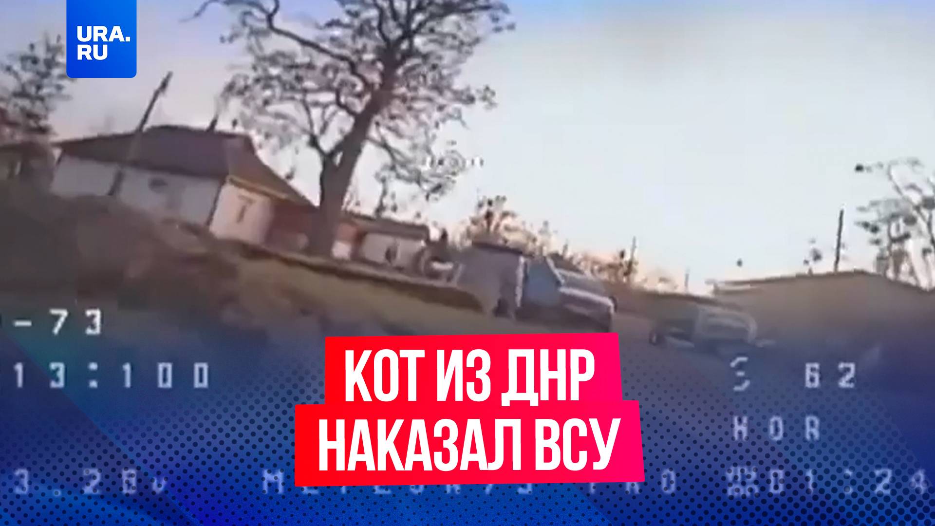 Дрон ВСУ сбил наш русский усатый кот
