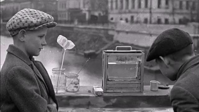 8e00caf5-5b08-4425-9435-8783fa702abe-1_all_20194.mp4