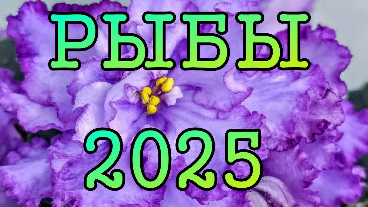 РЫБЫ таро прогноз на 2025год по месяцам.