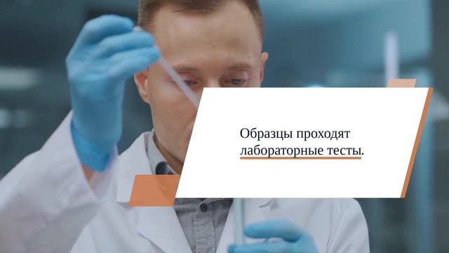 Сертификация товаров легкой промышленности — особенности процесса — sertex.org