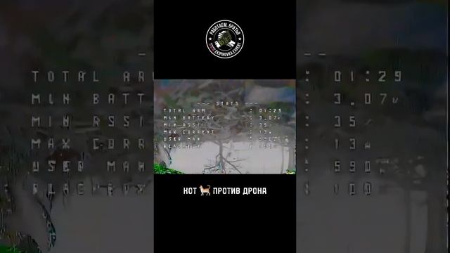 КОТОРЭБ ⚠️ эффективнее чем гарпия, капюшон, зонт, пироед, ромашка, герань … #экипировкаэксперт