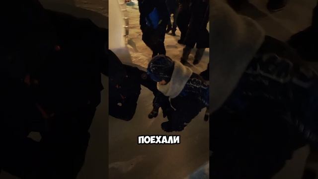 ледышый shorts