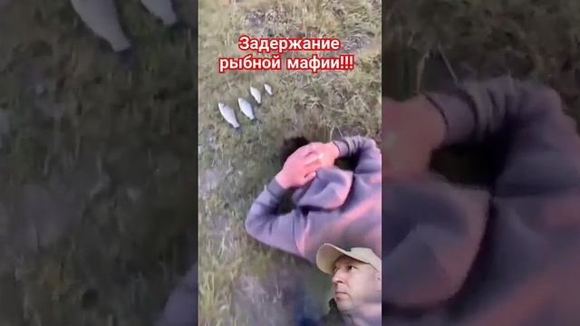 жёсткое задержание #юмор #прикол