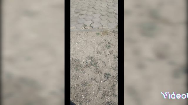 1000034779.mp4