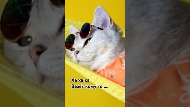 4 декабря 2024 г.