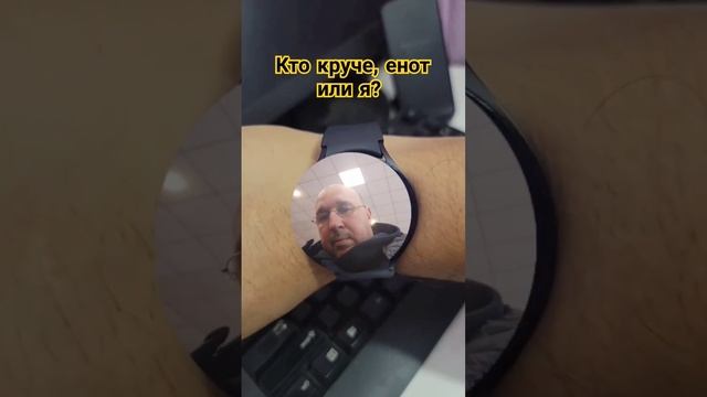 Неужели енот симпатичнее меня?