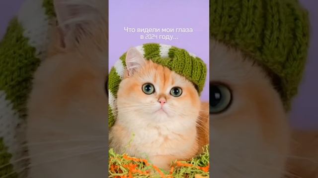 А что у вас произошло в прошедшем году?)🤗🫠