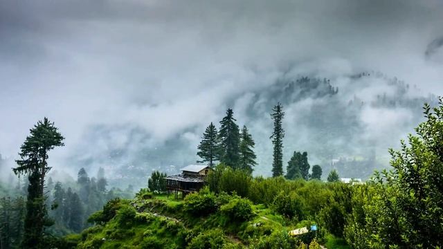 Nature 4k 60fps 😍