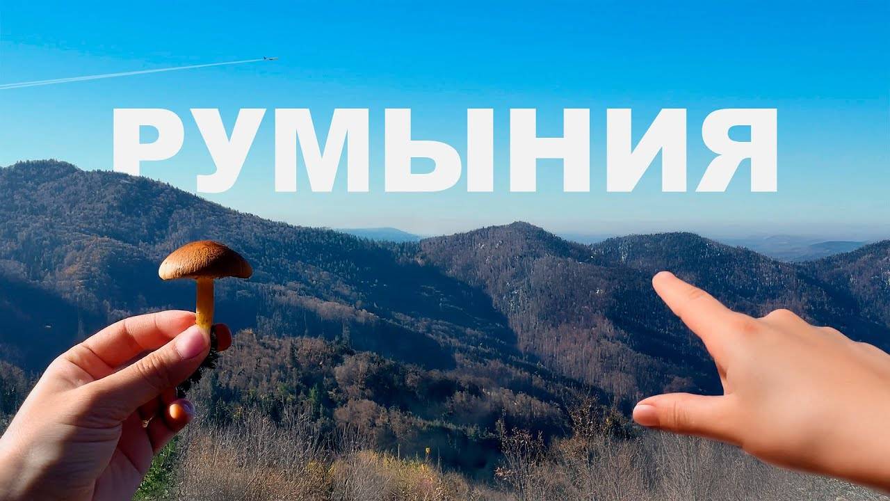 Поход в Карпаты за  грибами  🍄