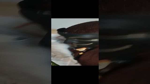 взяла пряне-еду колу