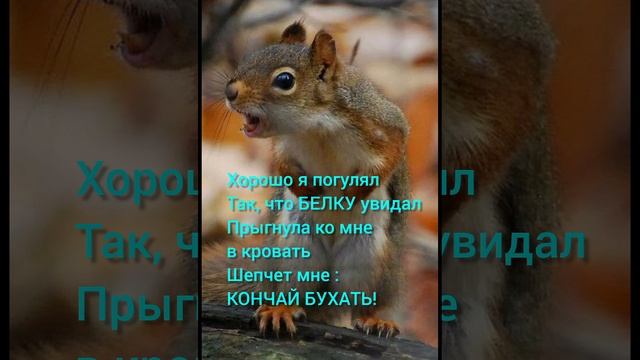 🐿🐿🐿Белка в гости к нам пришла