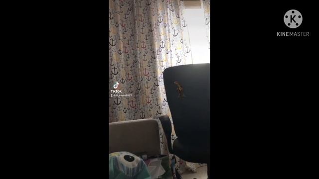 Динозавр 🦖 Не туда свернули 2 часть