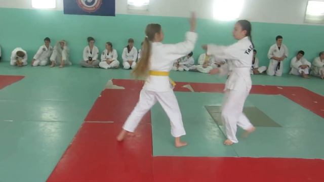 Муекван Дэхан Хапкидо