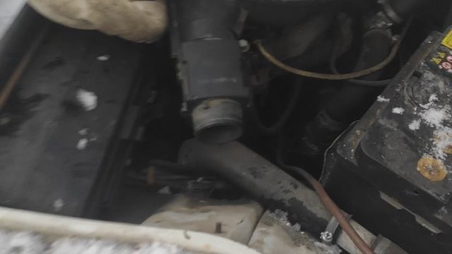 VID_20241227_093123.mp4