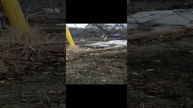 #дача #Астрахань