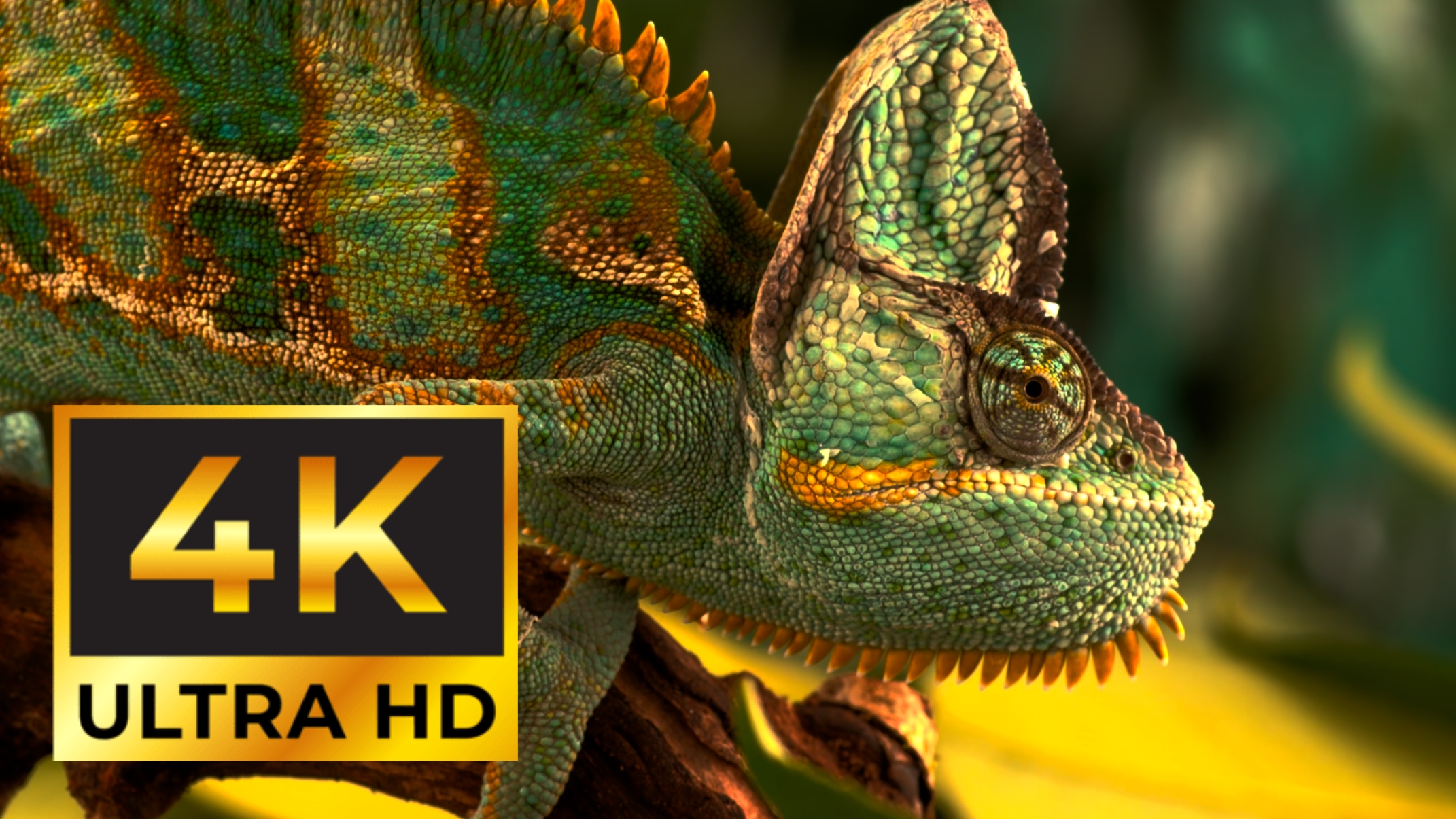 4K ultra HD 60FPS