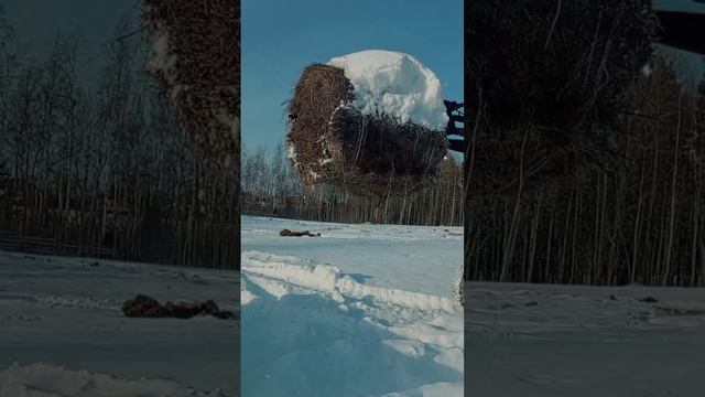 1000006347.mp4