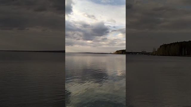 Вечерняя прогулка с собакой