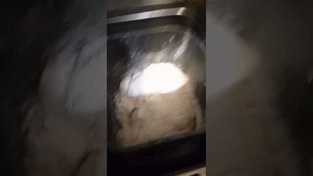 scene_output.mp4