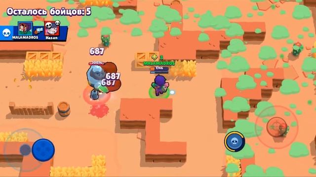я не рататуй!--BRAWL STARS--