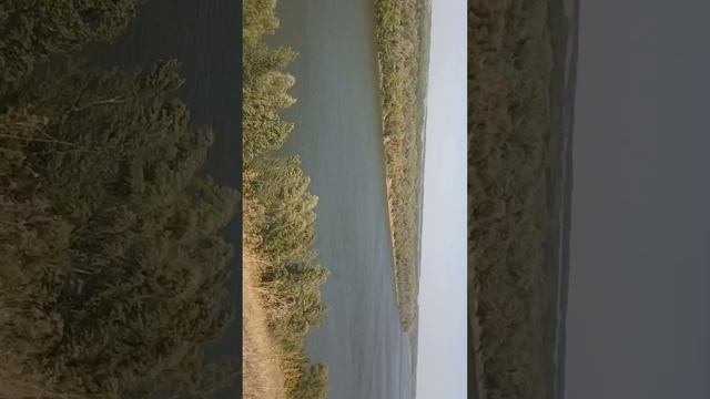 1000029754.mp4