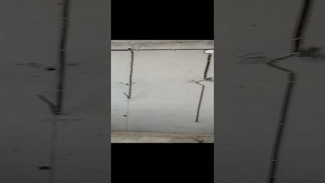 Сдача объекта, электромонтаж квартиры