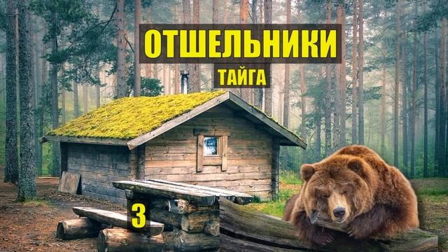МЕДВЕДЬ на ТРОПЕ ВСТРЕЧА ПОХОД с НОЧЁВКОЙ ОТШЕЛЬНИКИ УБЕЖИЩЕ СУДЬБА в ЛЕСУ ИСТОРИИ из ЖИЗНИ СЕРИАЛ