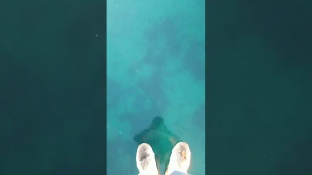 Молодой лёд ⛸️