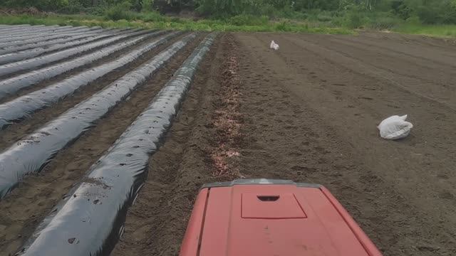 Нарезка бугров по посадку клубники.