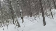 Брошенная пасека. Пос. Сотово.
