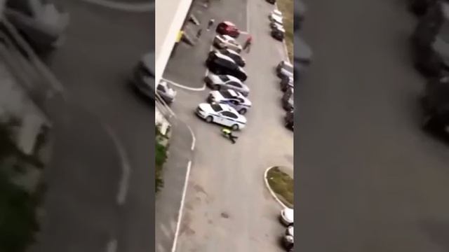 что то с ними не так 😂😂