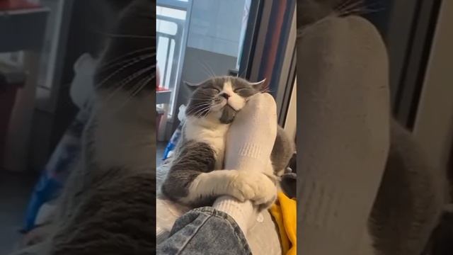 Сладуся 🥰