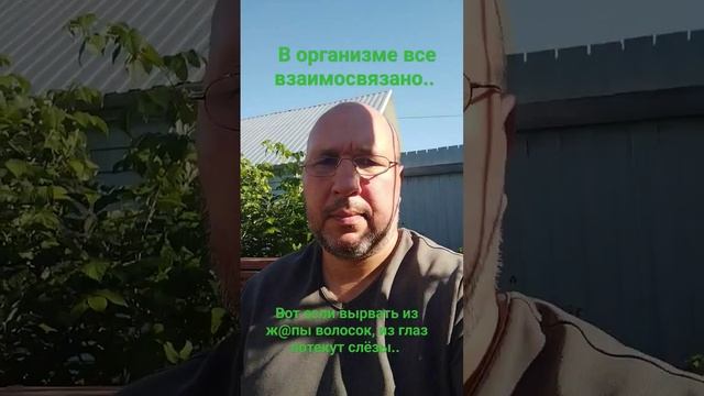 Размышления путь к успеху