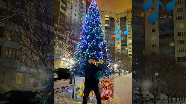 АКА играет на трубе у Елки🎺🎄исп. "Итальянская полька" Т. Докшицер🎺