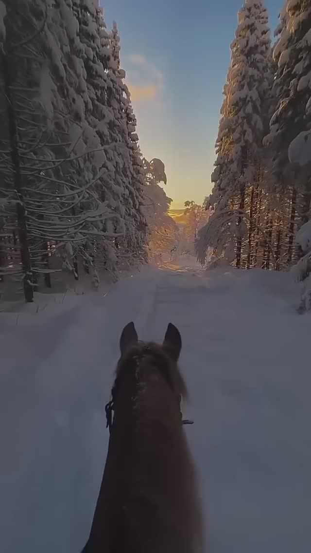 Один день из жизни