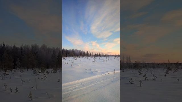 Nature. Karelia