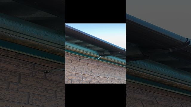 Уссурийск газ