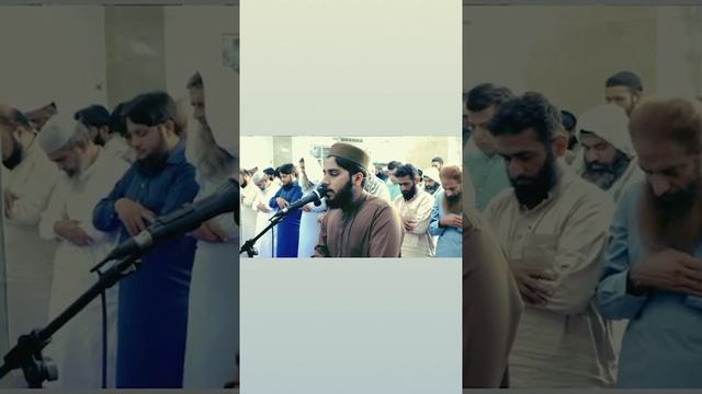 Dr Sahal Illahi Zaheer