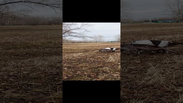 1000110234.mp4