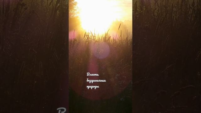 Поэзия 35