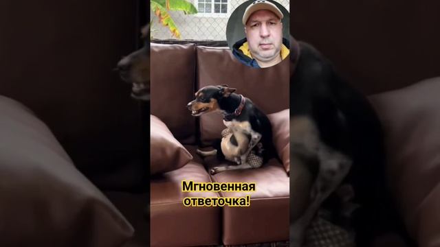 мгновенно ответил