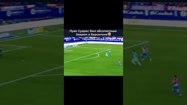 спортшорт