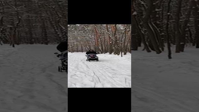 На коньках с коляской в парке лесоводов г. Уфа